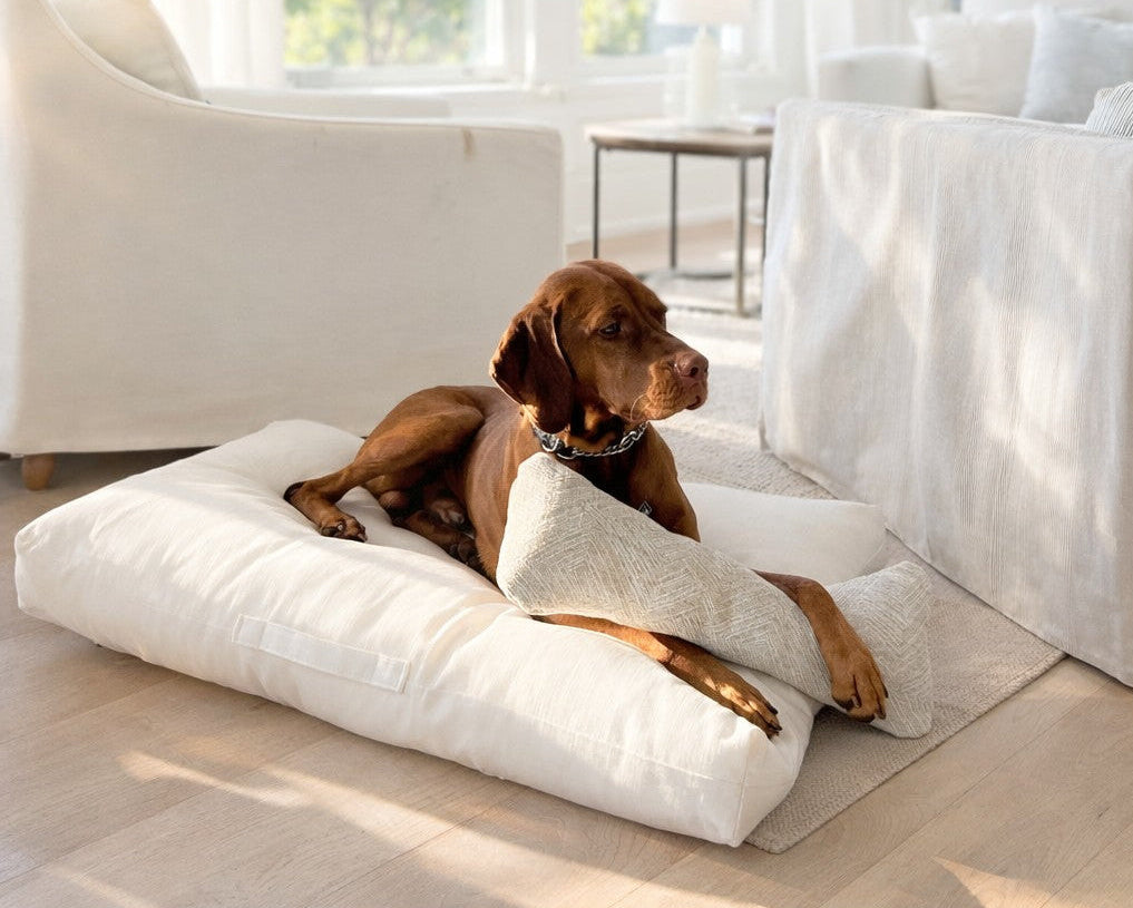 Bowsers The Avenue Orthopedic Dog Bed Orthopedic Dog Bed - Supportive Joint-Relief Comfort