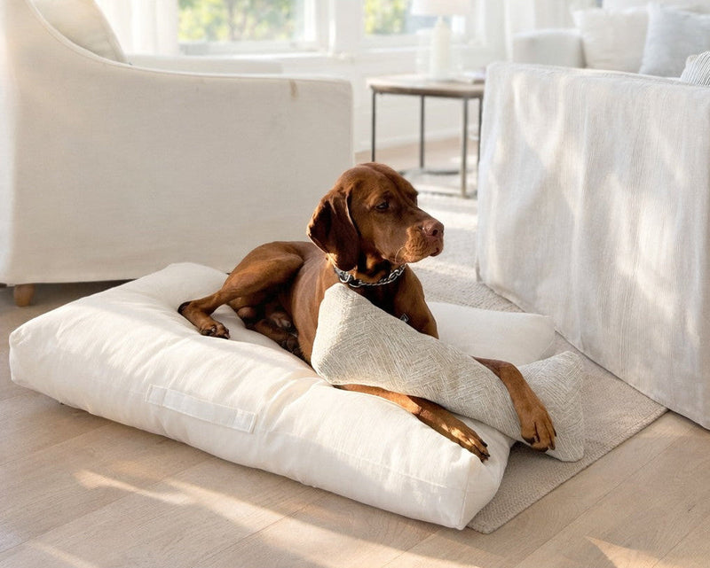 Bowsers The Avenue Orthopedic Dog Bed Orthopedic Dog Bed - Supportive Joint-Relief Comfort