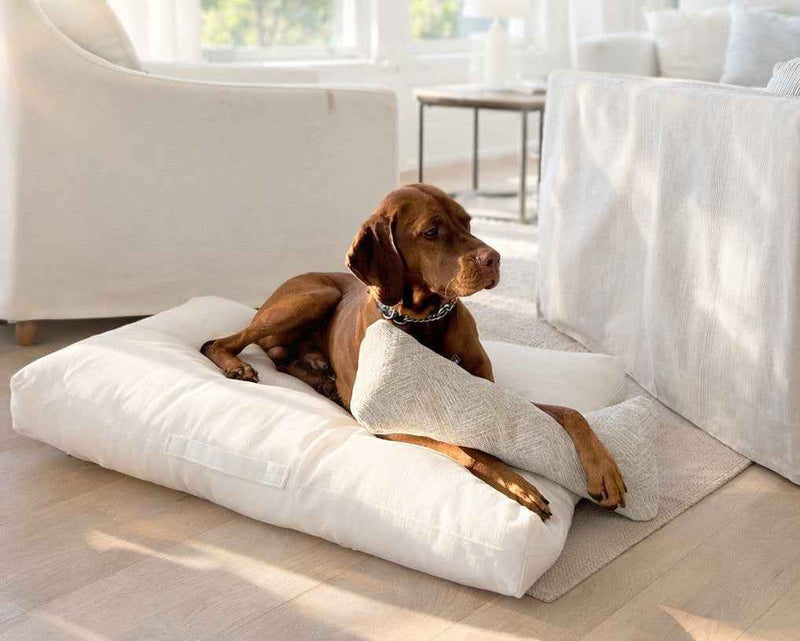 Bowsers The Avenue Orthopedic Dog Bed Orthopedic Dog Bed – Supportive Joint-Relief Comfort
