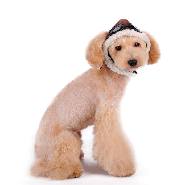 DOGO Aviator Dog Winter Hat