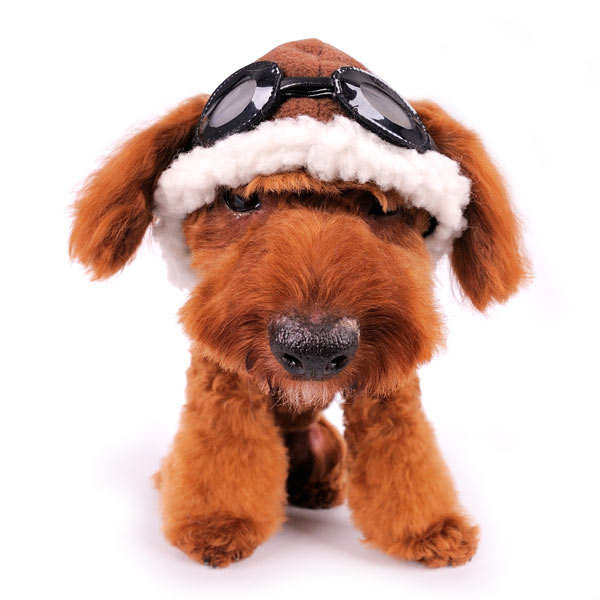 DOGO Aviator Dog Winter Hat