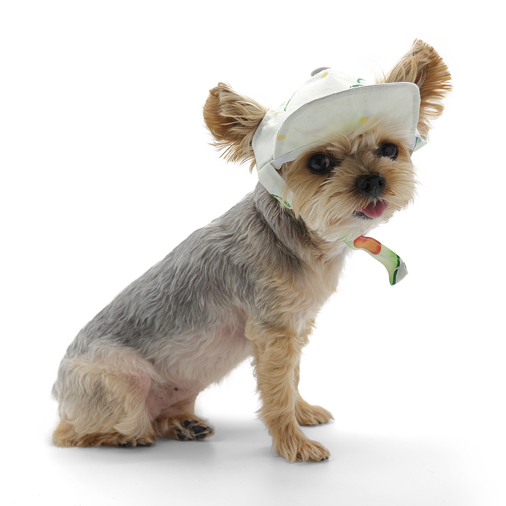 DOGO Avocado Dog Baseball Hat