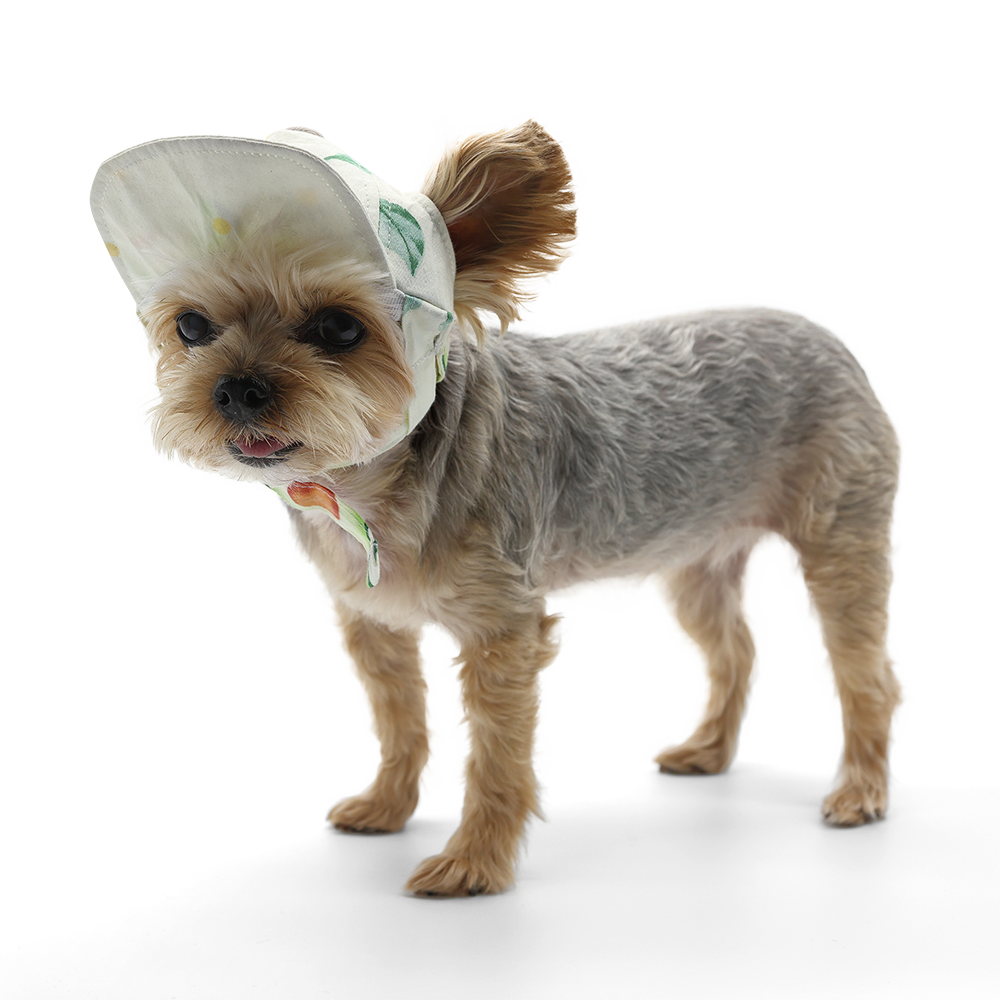 DOGO Avocado Dog Baseball Hat