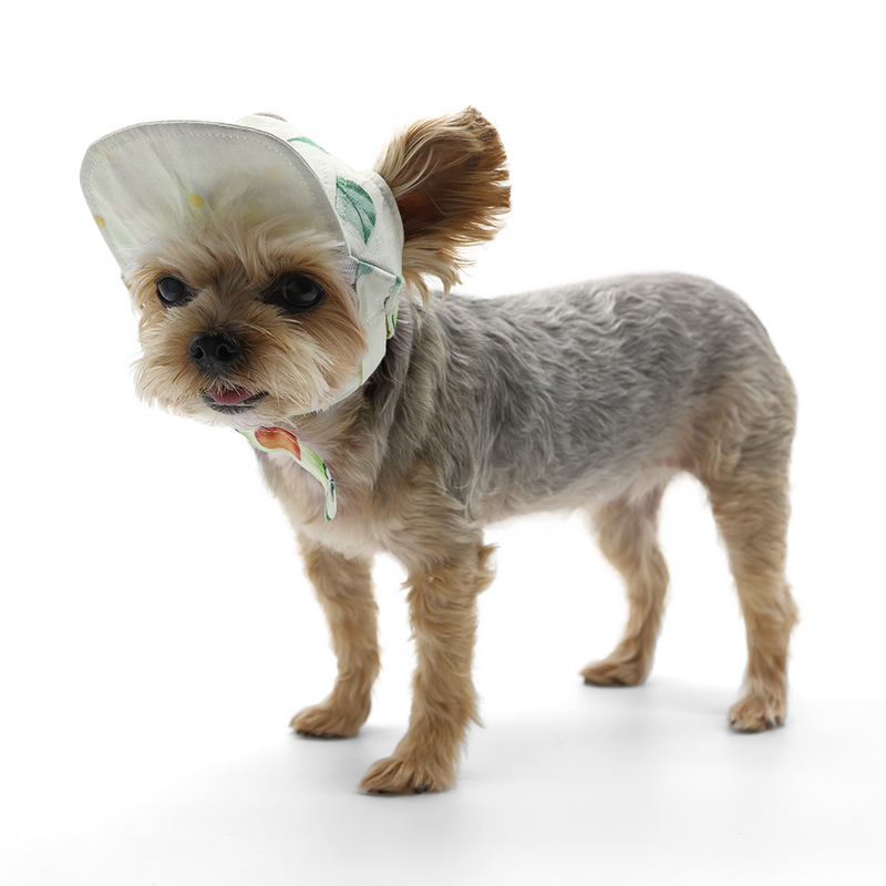 Avocado Hat