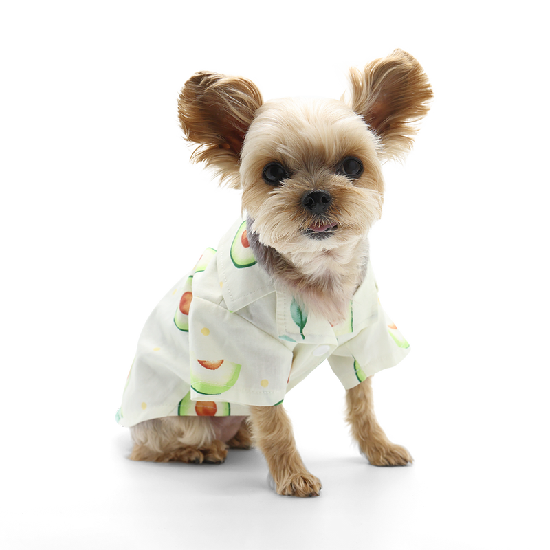 Avocado Shirt