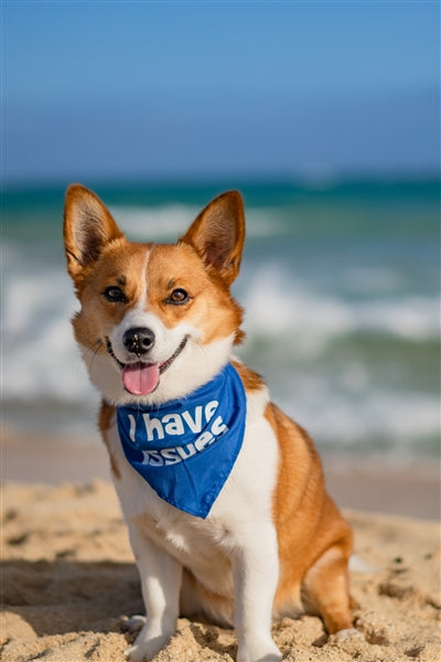 Parisian Pet I Have Issues Bandana