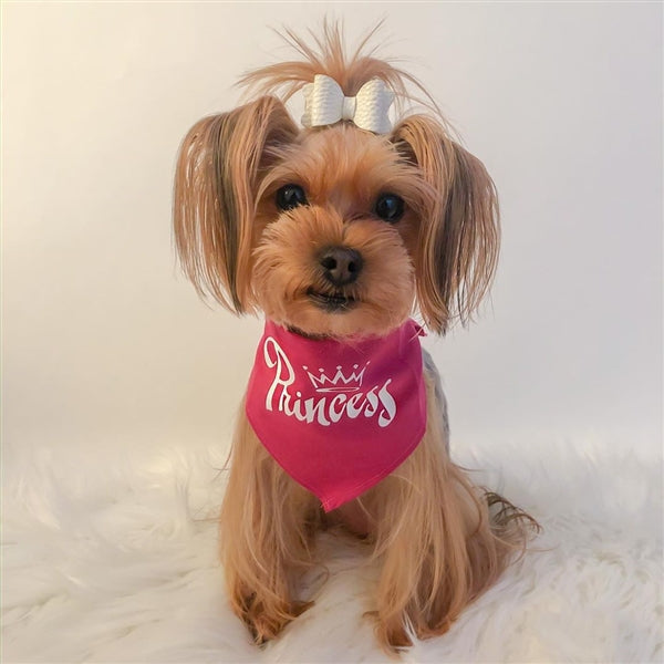 Parisian Pet Princess Bandana for Dogs & Cats - Stylish, Trendy, Comfortable Pink Dog Bandana for Special Occasions