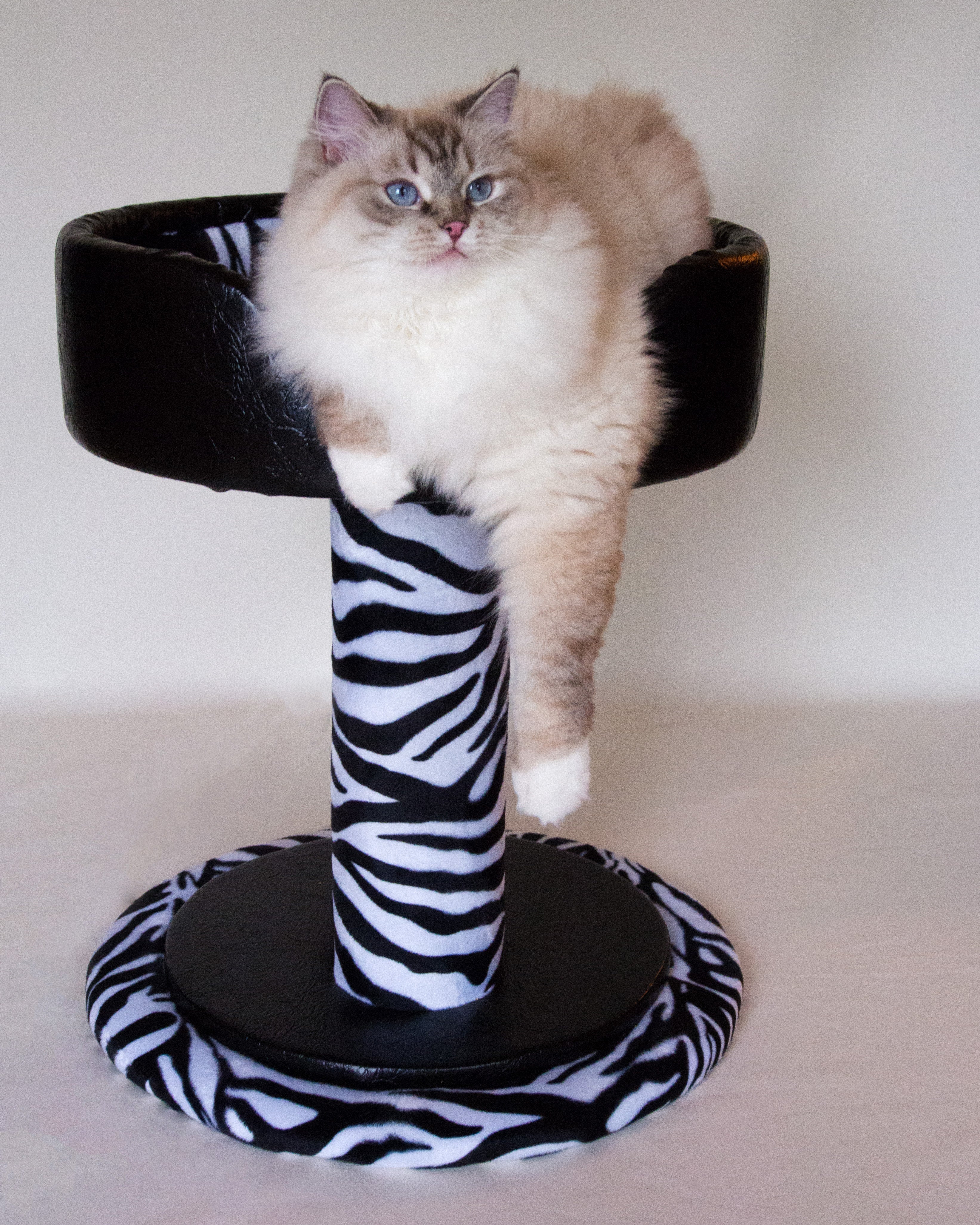 Hybernest Deluxe Luxury Cat Bed