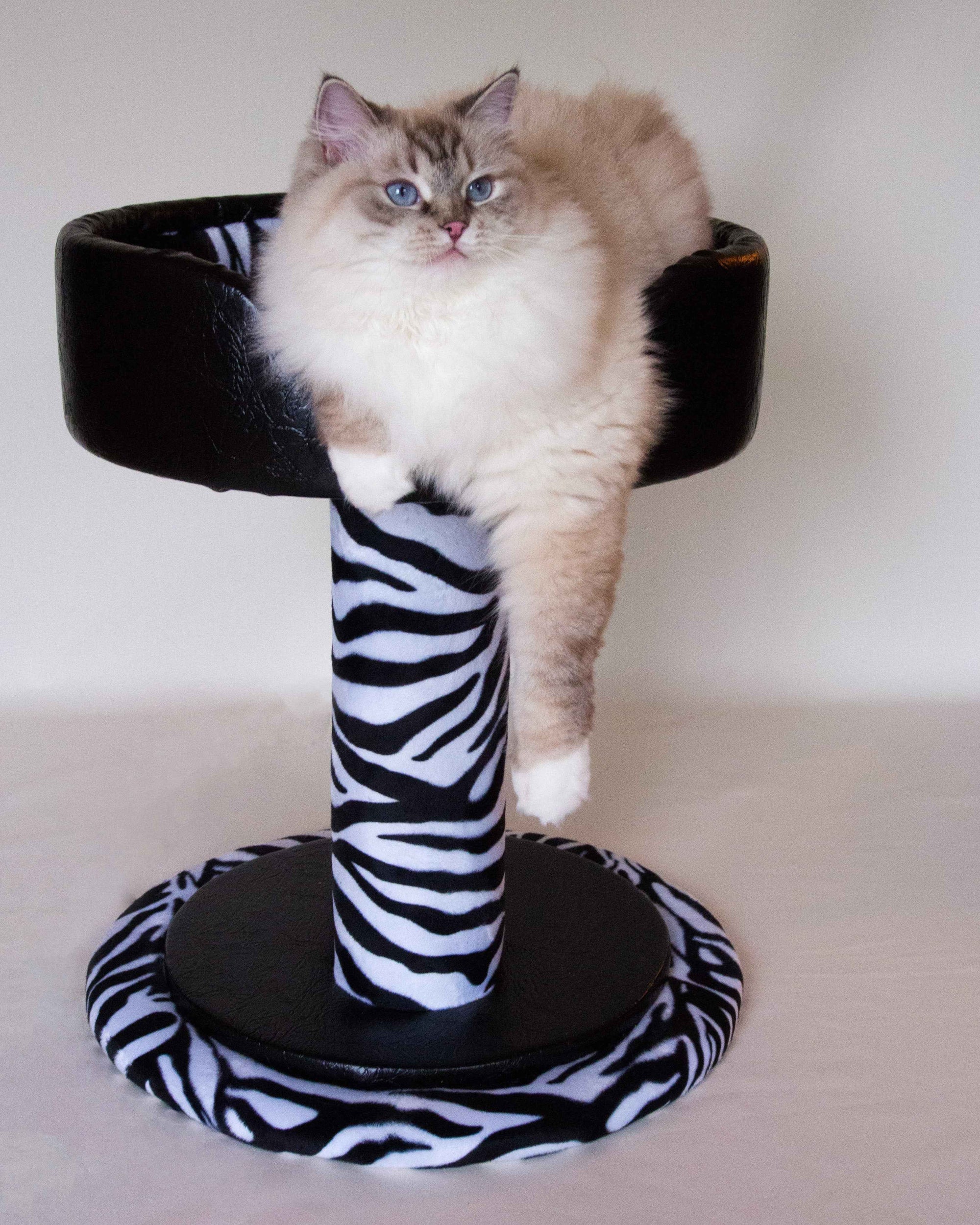 Hybernest Deluxe Luxury Cat Bed
