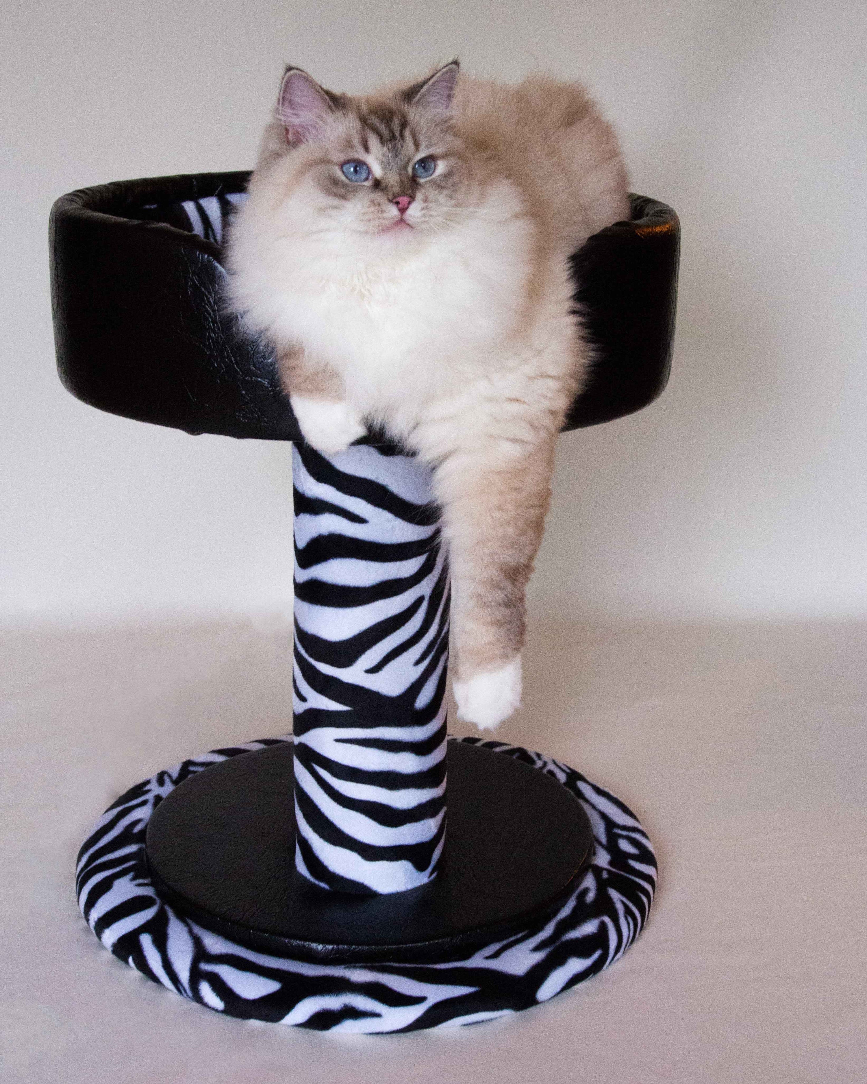 Hybernest Deluxe Luxury Cat Bed