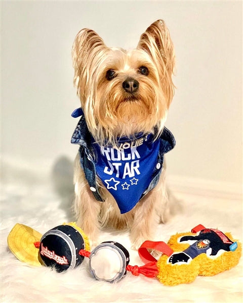 Parisian Pet Rock Star Bandana for Dogs & Cats - Fashionable, Comfortable Blue Pet Bandana for Trendy Pets