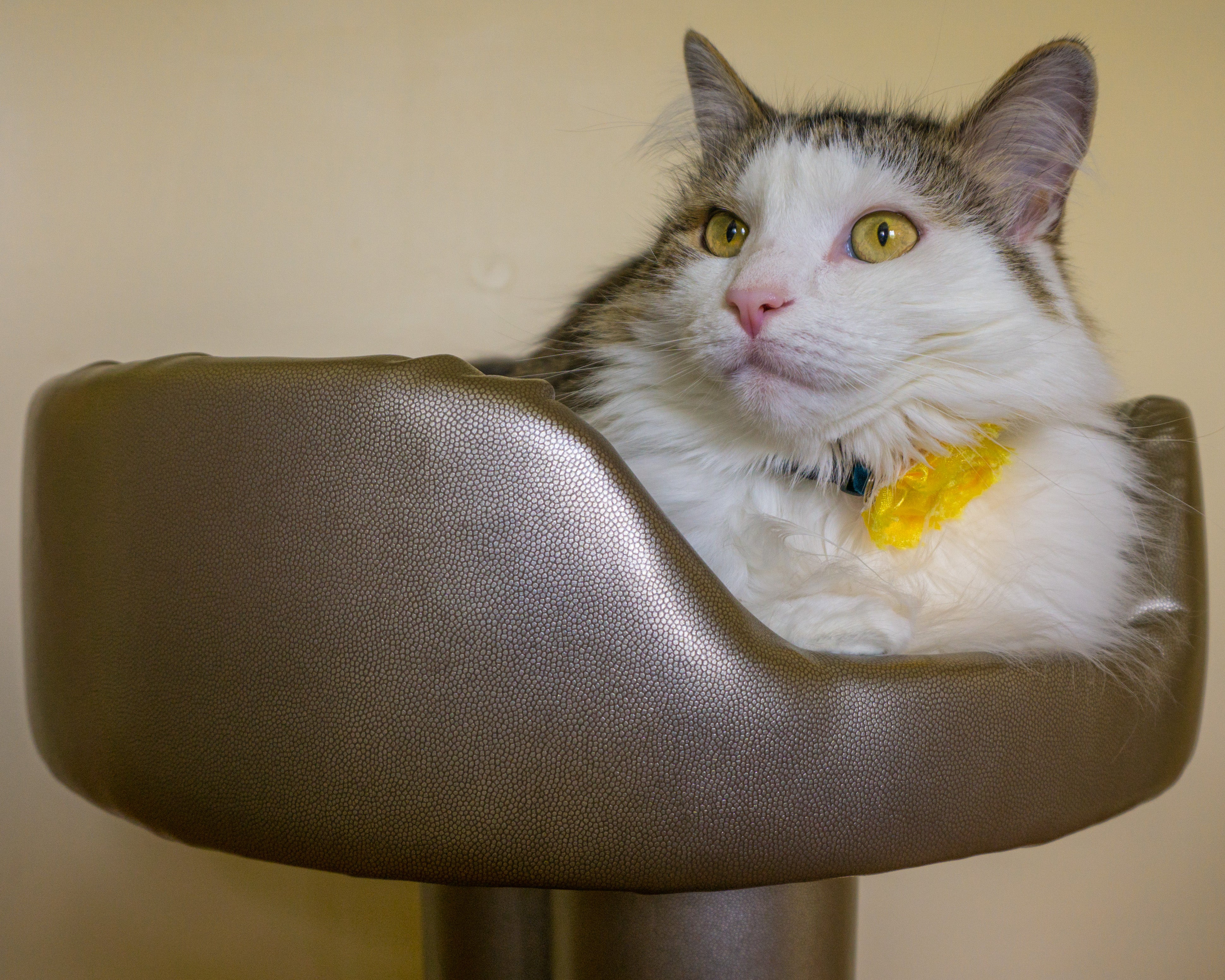 Hybernest Deluxe Luxury Cat Bed