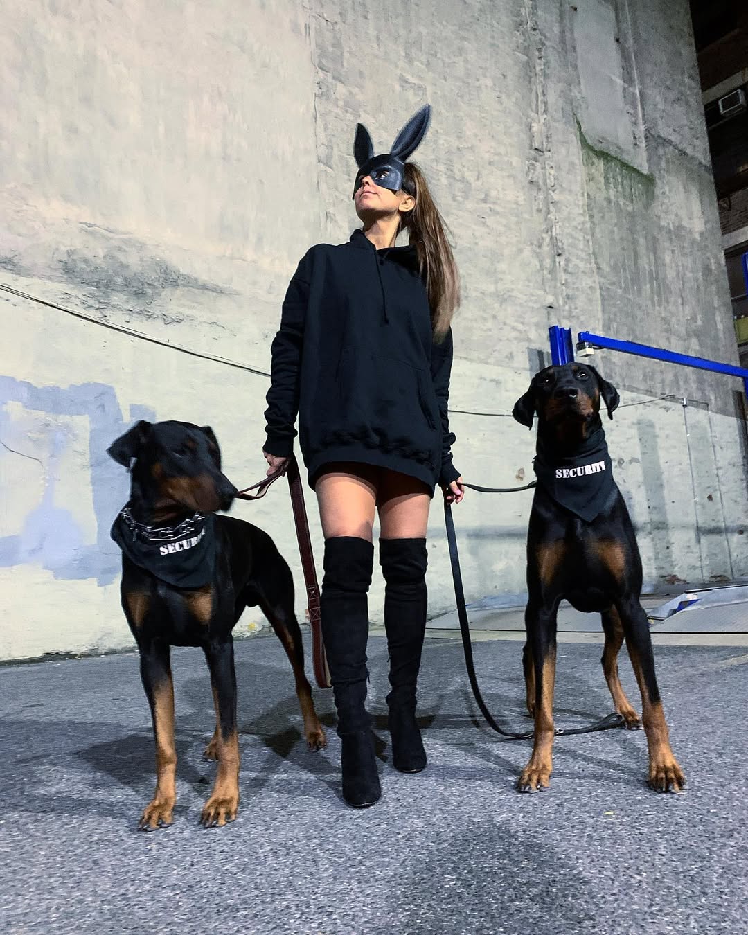 Parisian Pet Security Bandana - Comfortable, Fashionable Black Pet Bandana for Dogs & Cats, Trendy and Durable Pet Accessory