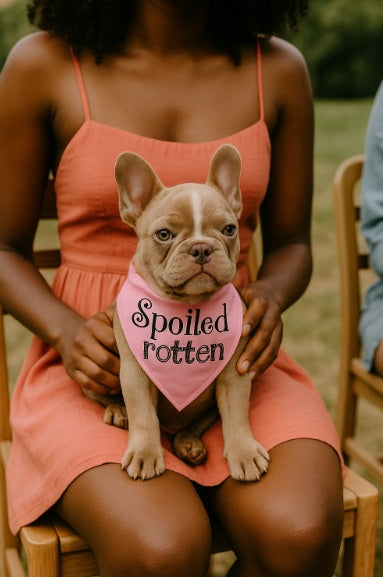 Parisian Pet Spoiled Rotten Bandana for Dogs & Cats - Trendy, Comfortable, Funny Pink Dog Bandana