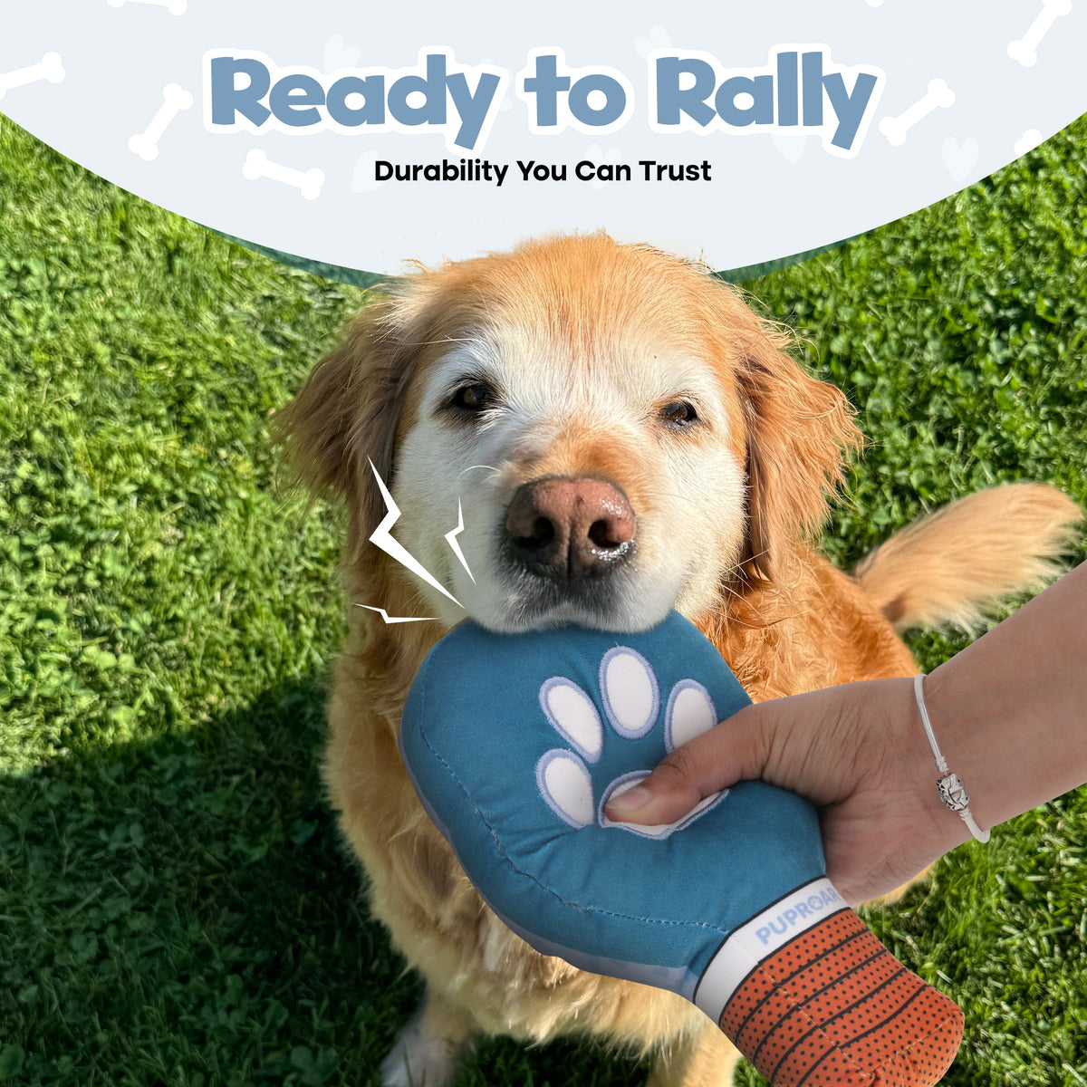 PUPROAR Pickleball Dog Toy - Funny Squeaky Pickleball Gift for Dogs