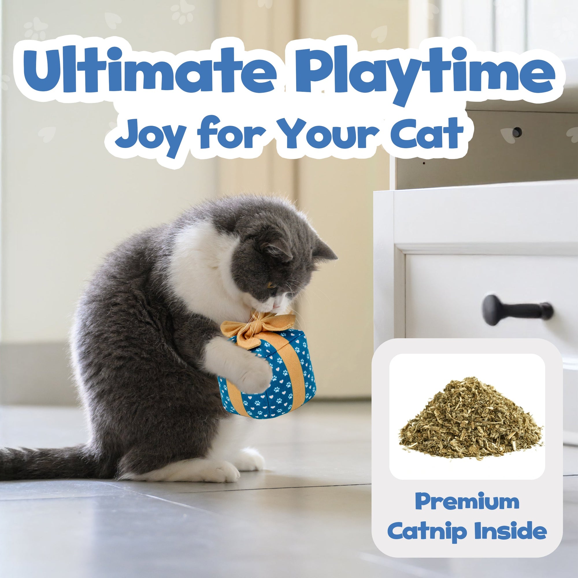 PUPROAR Gift Box Cat Toy - Cute Catnip and Crinkle Birthday Cat Toy