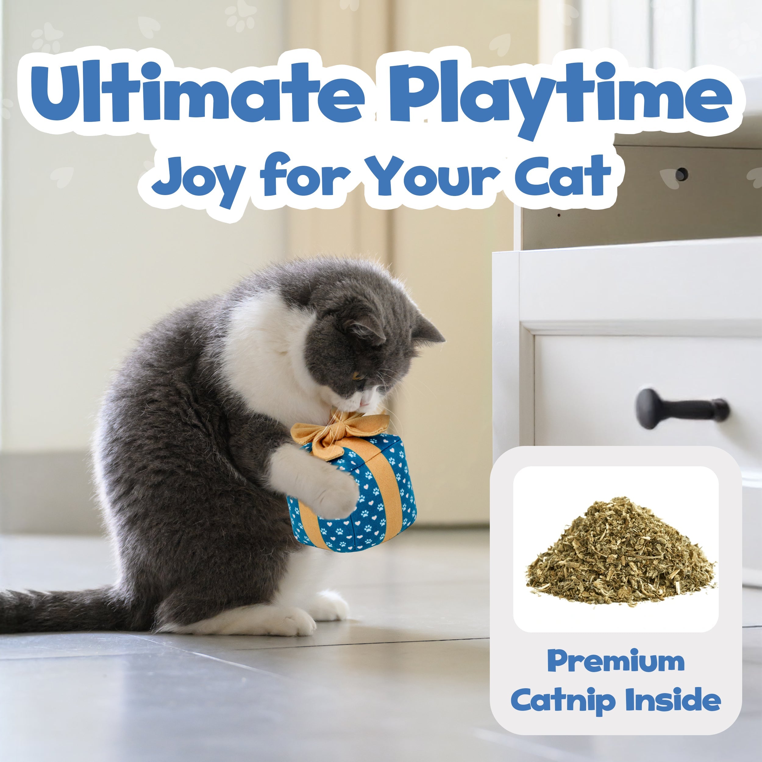 PUPROAR Gift Box Cat Toy - Cute Catnip and Crinkle Birthday Cat Toy
