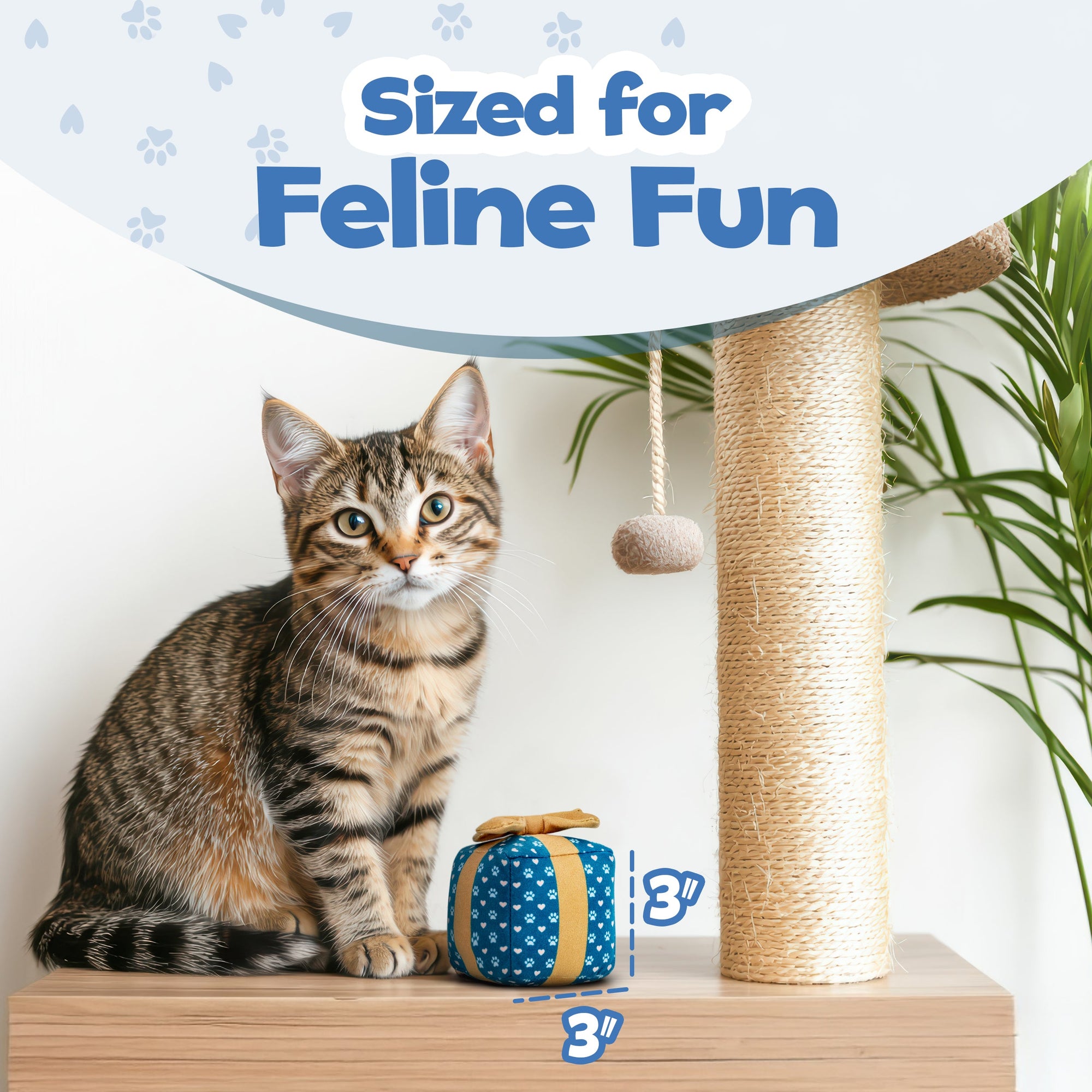 PUPROAR Gift Box Cat Toy - Cute Catnip and Crinkle Birthday Cat Toy