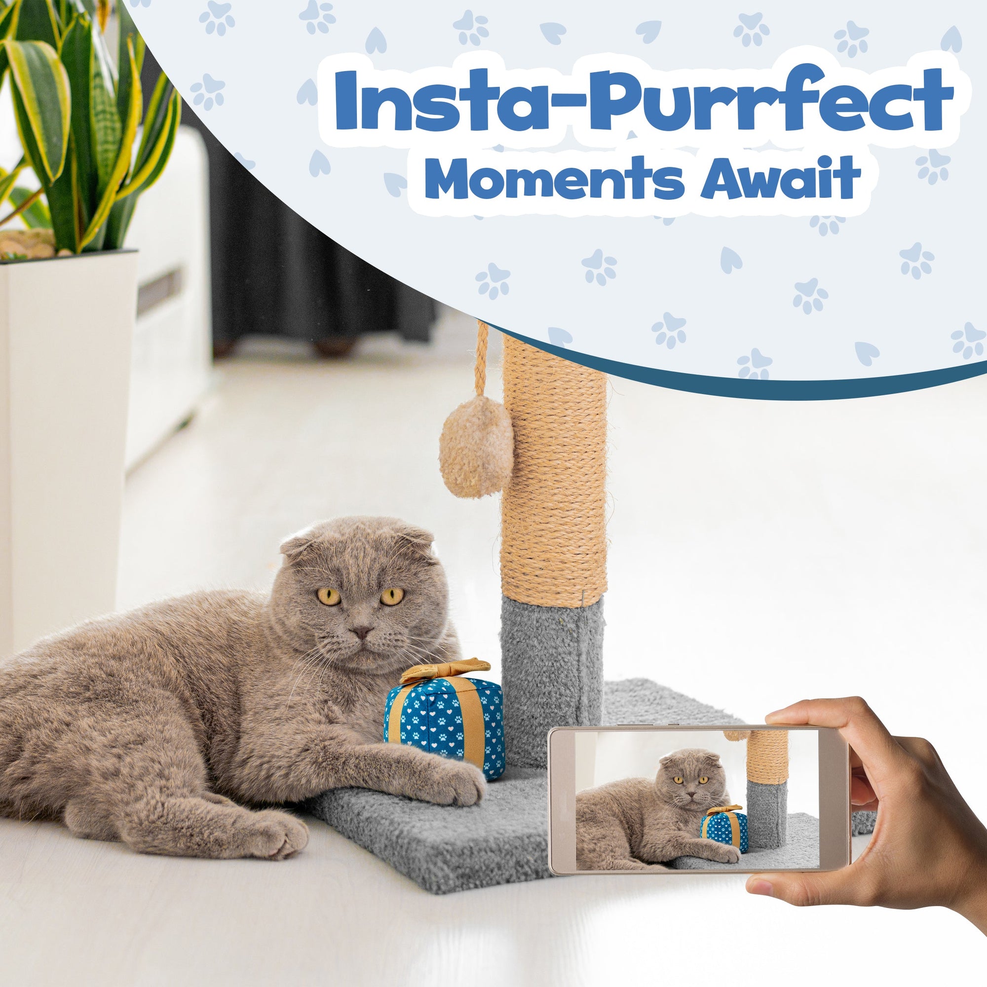 PUPROAR Gift Box Cat Toy - Cute Catnip and Crinkle Birthday Cat Toy