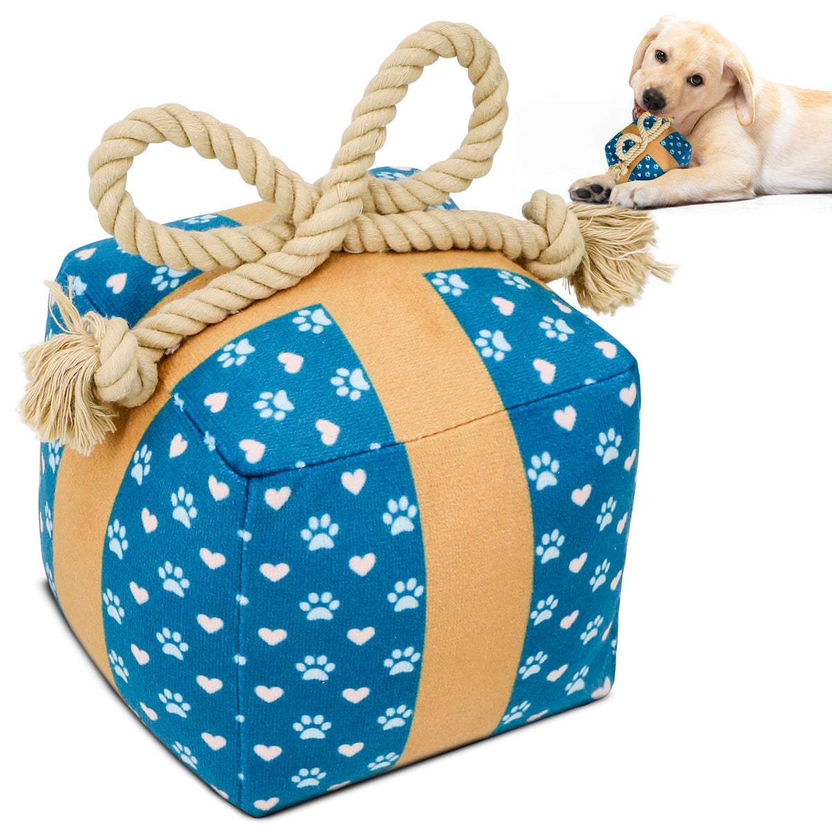 PUPROAR Gift Box Dog Toy - Cute Squeaky Birthday Dog Toy with Rope Bow