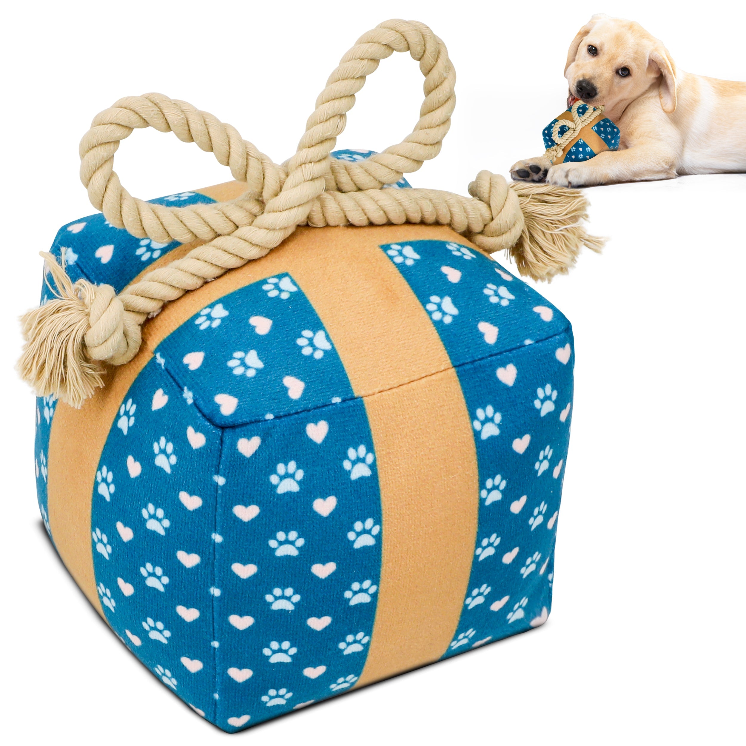 PUPROAR Gift Box Dog Toy - Cute Squeaky Birthday Dog Toy with Rope Bow