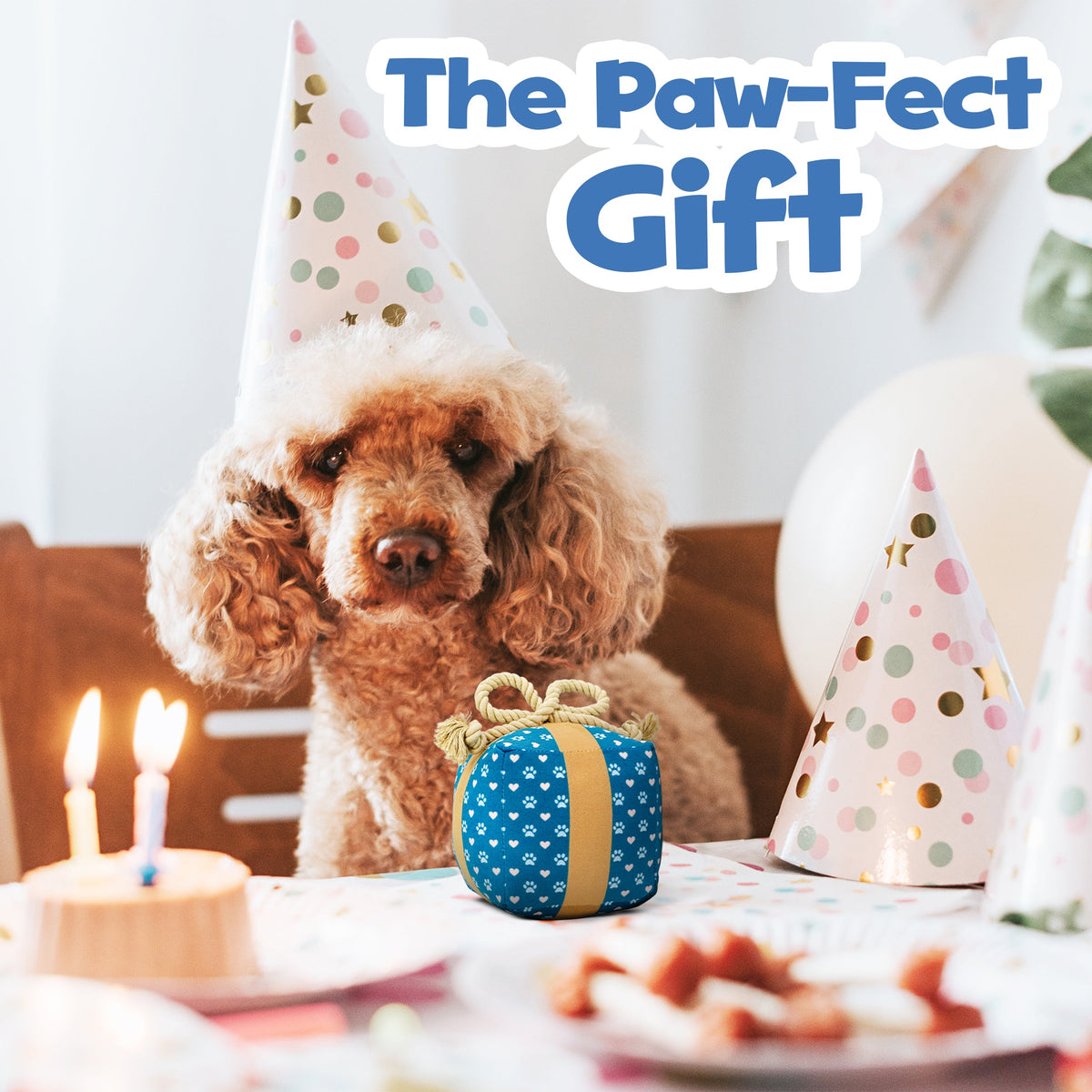 PUPROAR Gift Box Dog Toy - Cute Squeaky Birthday Dog Toy with Rope Bow