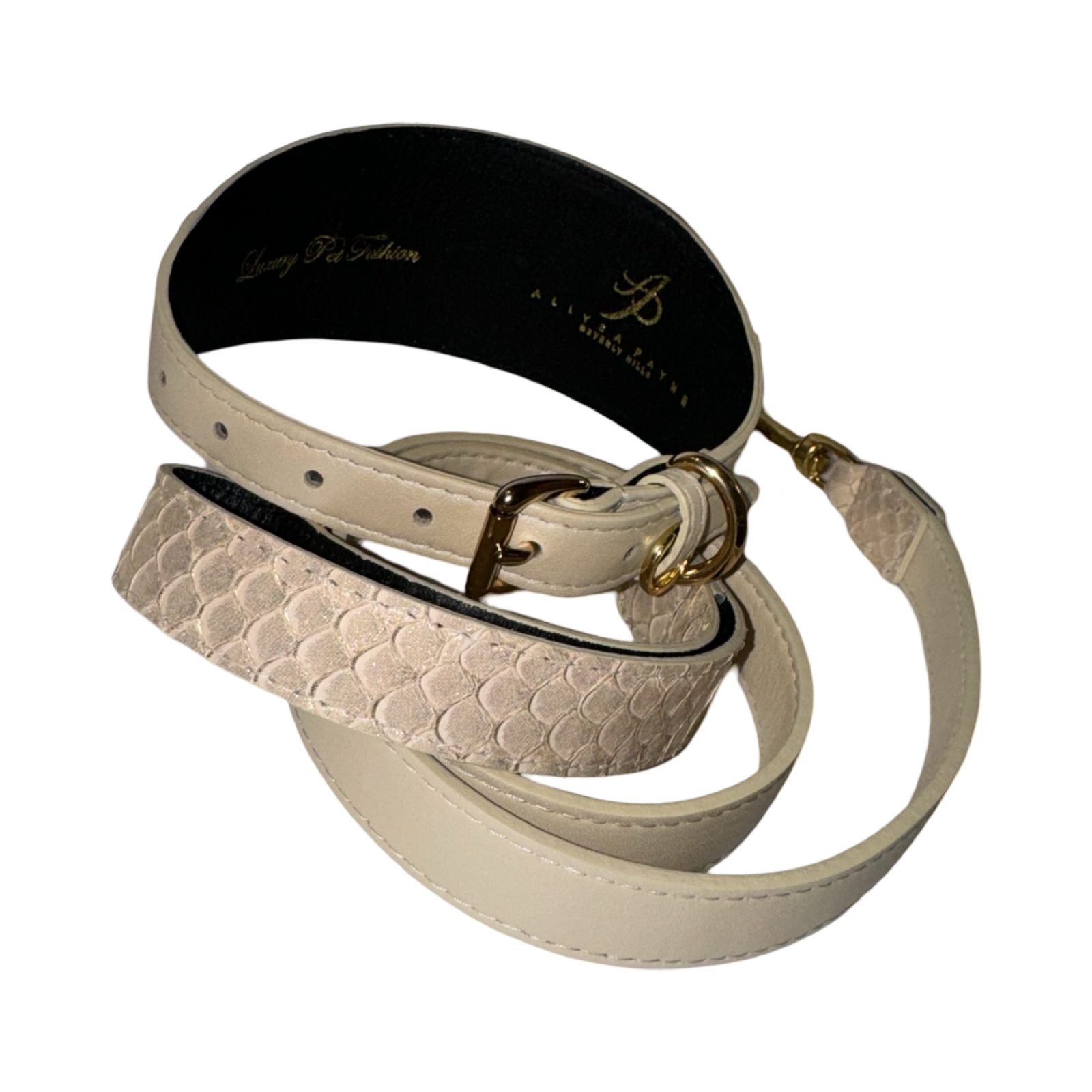 Allysa Payne Hollywood Glam Dog Collar & Leash Set