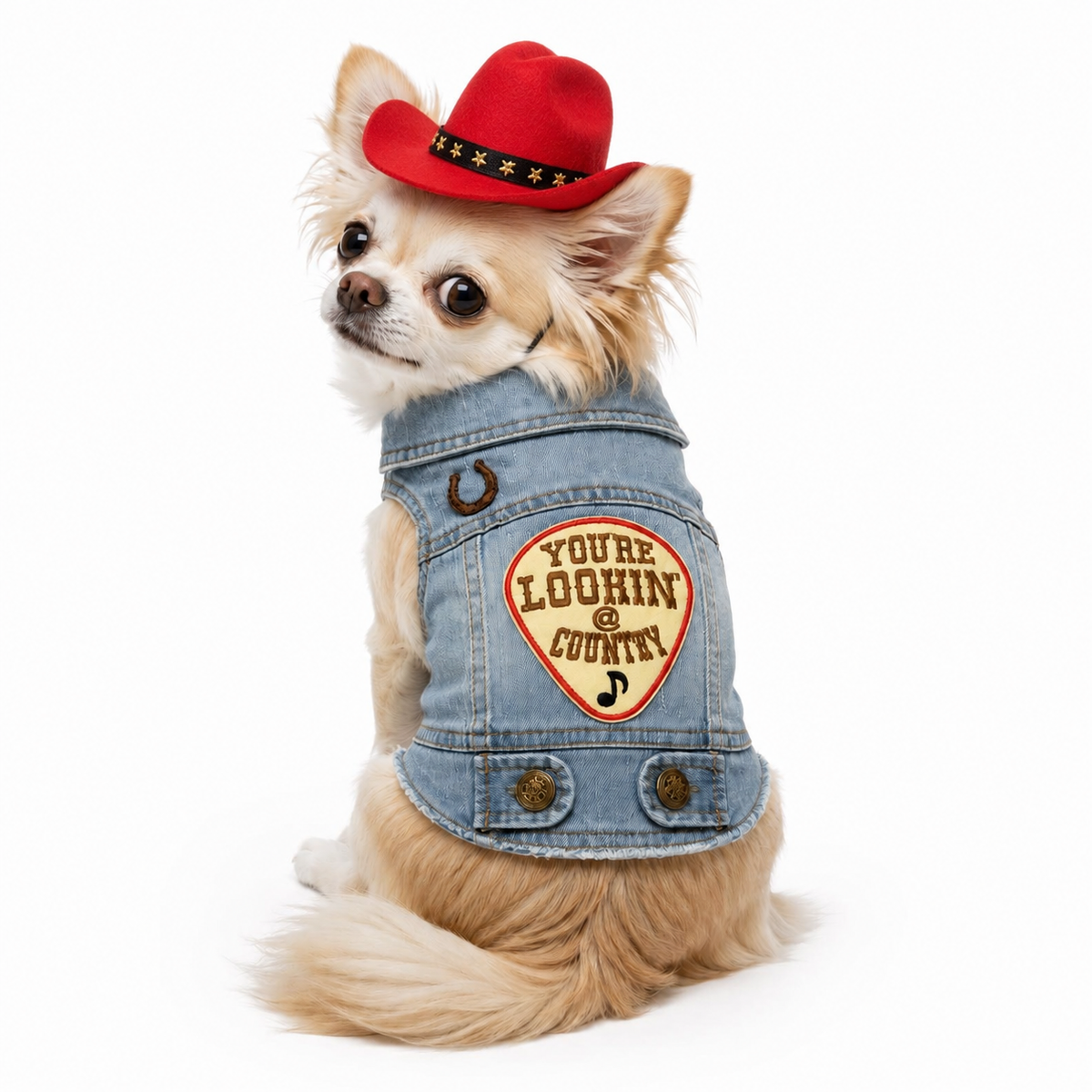 Heads or Tails Pup Cowboy Dog Hat