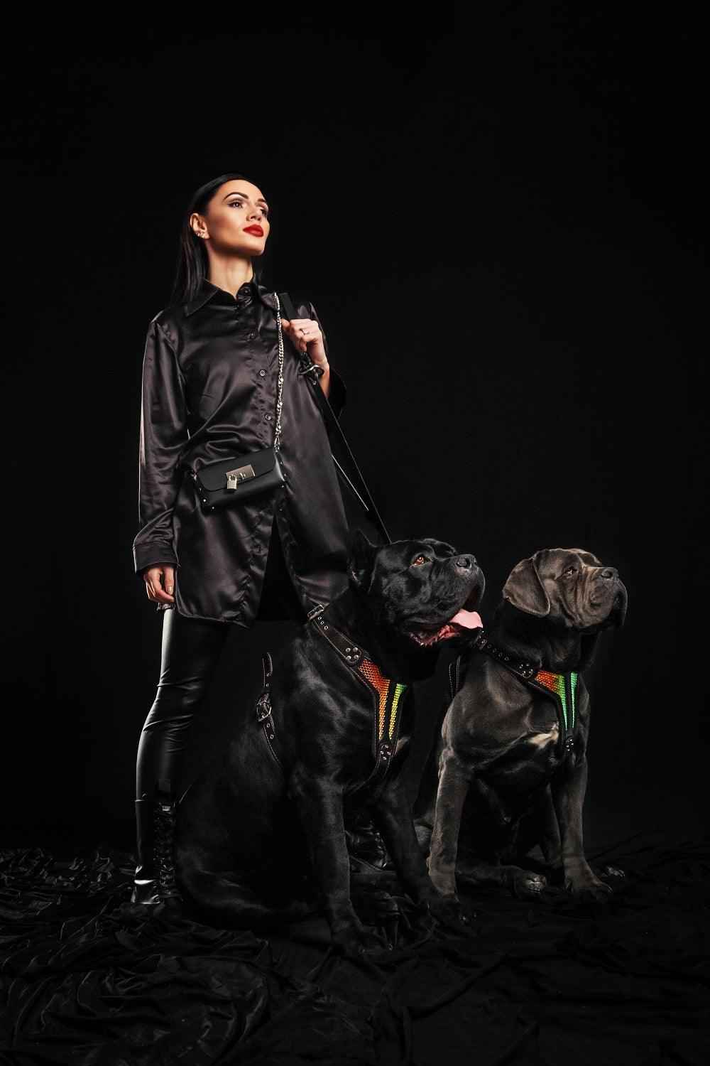 Bestia D'Albertis Limited Edition Leather Dog Harness