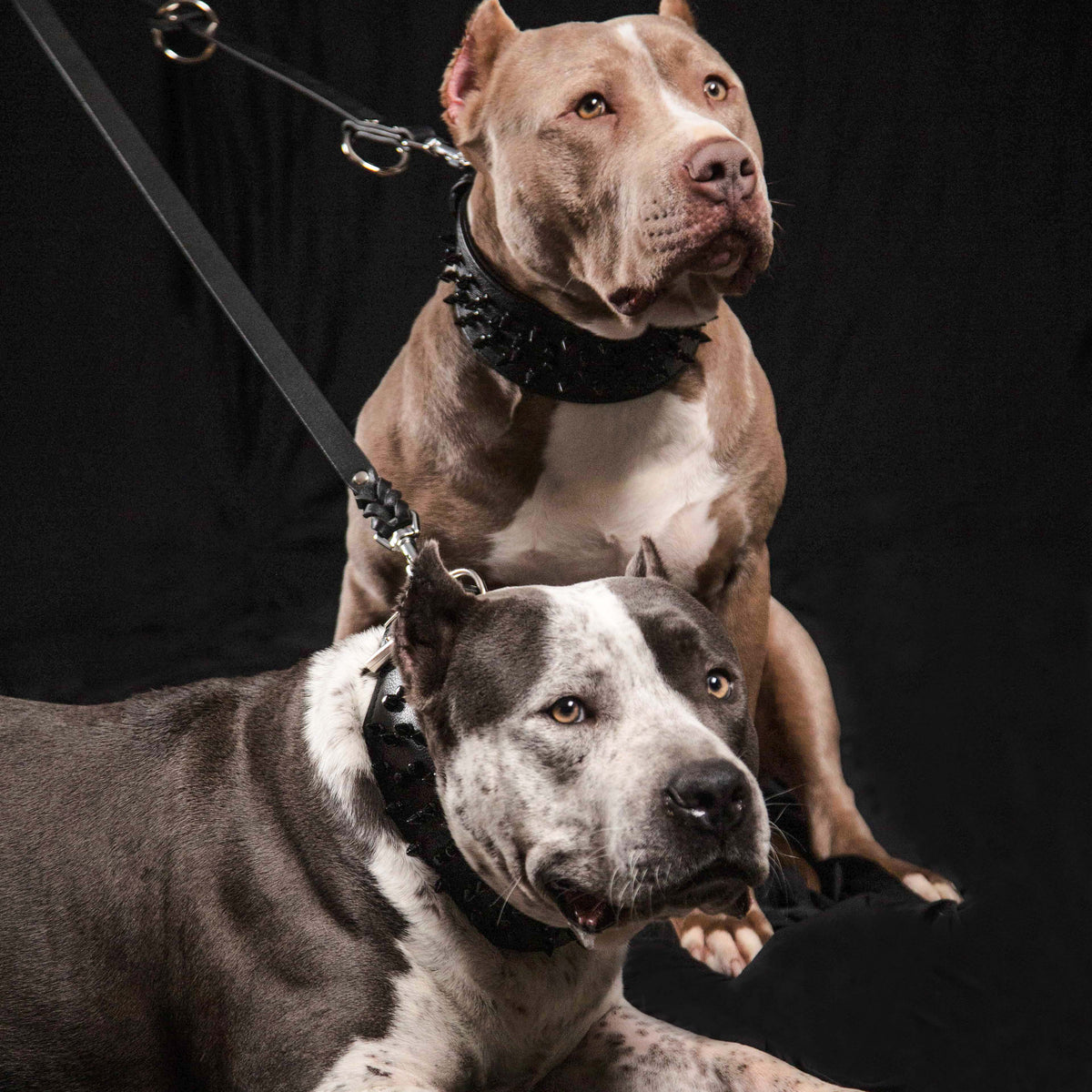 Bestia Multi Purpose Police Leather Dog Leash