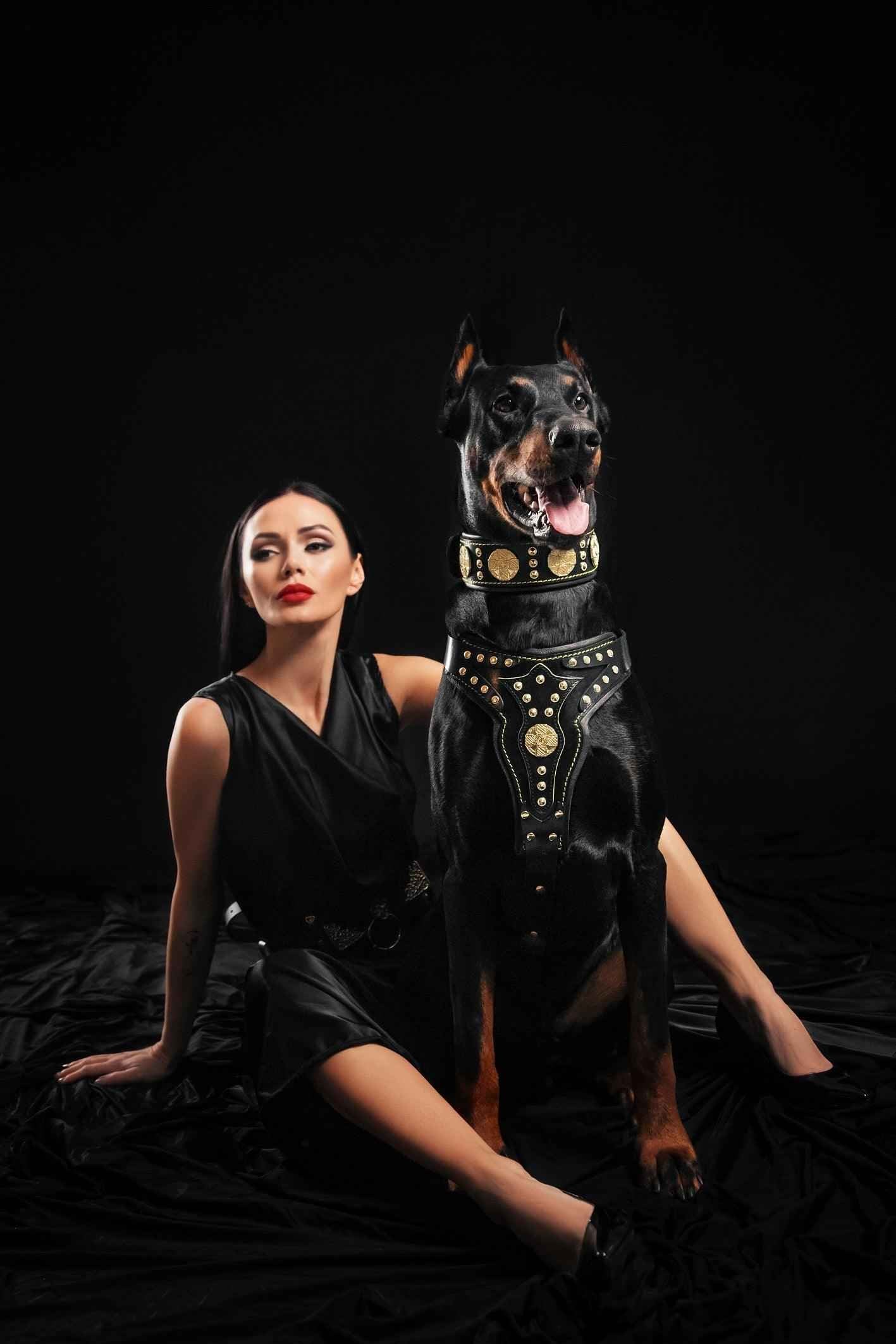 Bestia Maximus V2 Leather Dog Harness