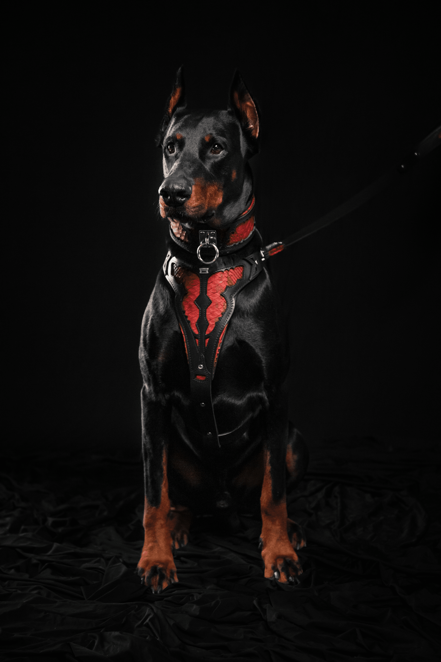 Bestia Red Dragon Leather Dog Collar