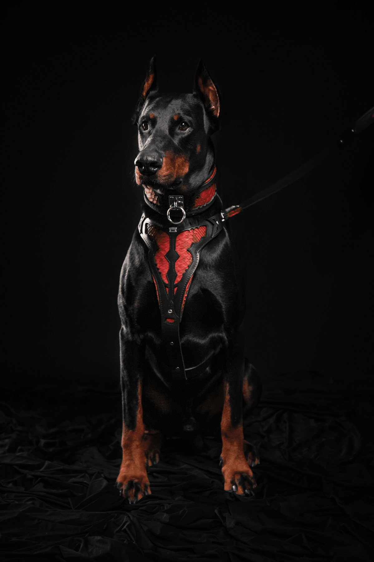 Bestia Red Dragon Leather Dog Leash