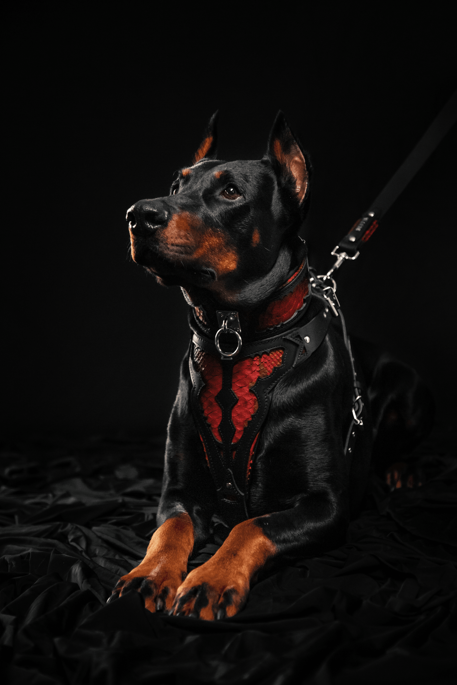 Bestia Red Dragon Leather Dog Leash