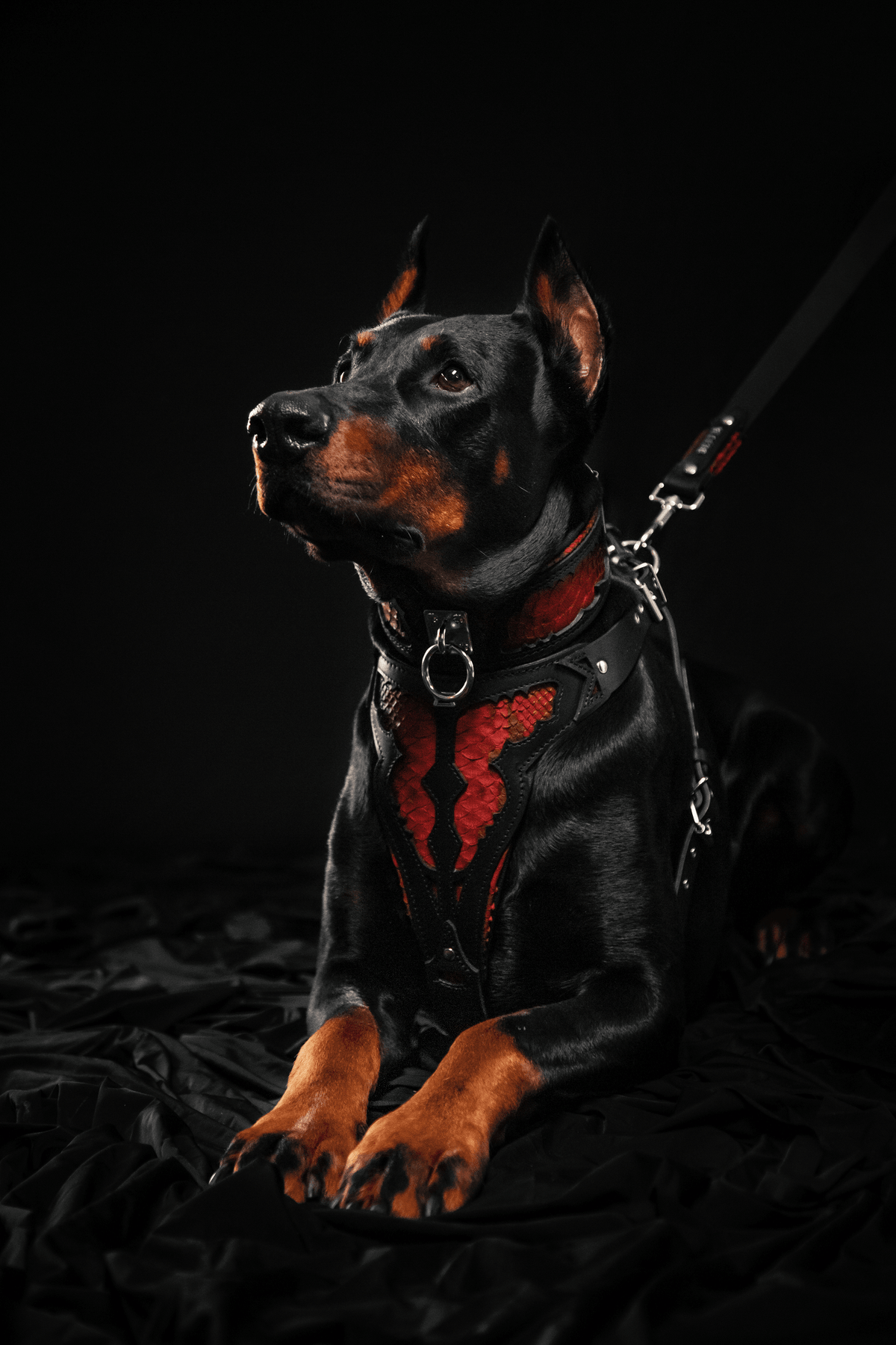 Bestia Red Dragon Leather Dog Harness