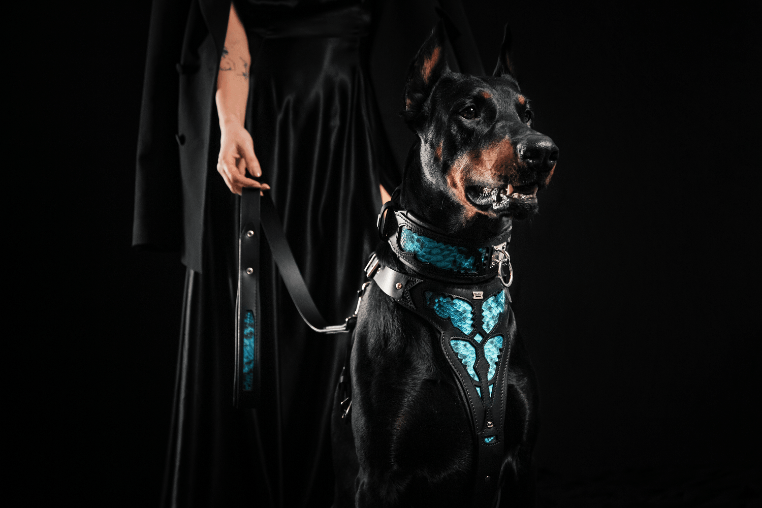 Bestia Morelia Python Leather Dog Collar