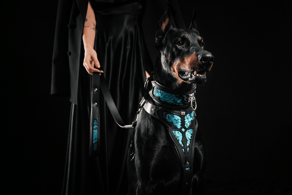 Bestia Morelia Python Leather Dog Harness
