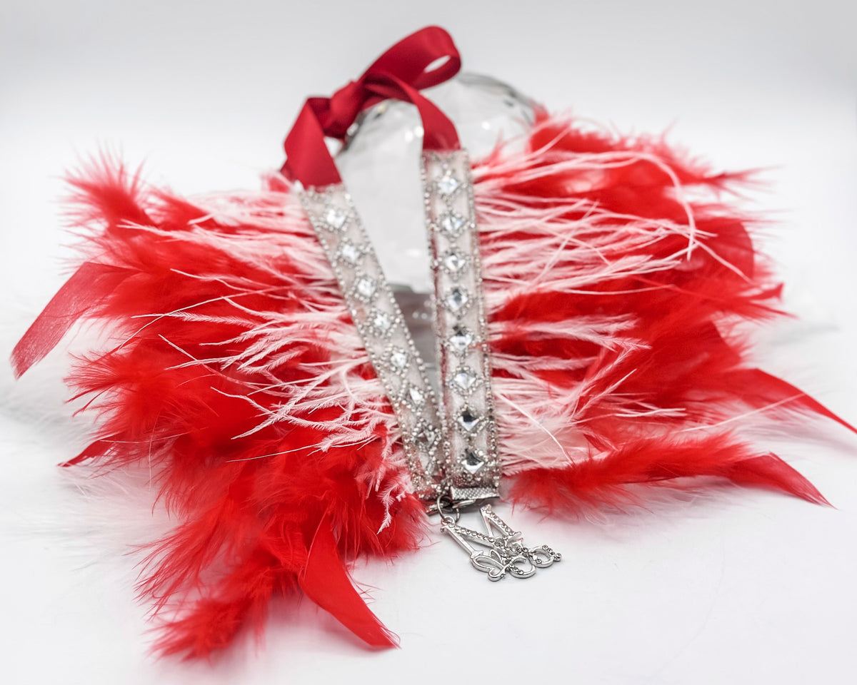 Signature Feathers: Proud (pre-order)