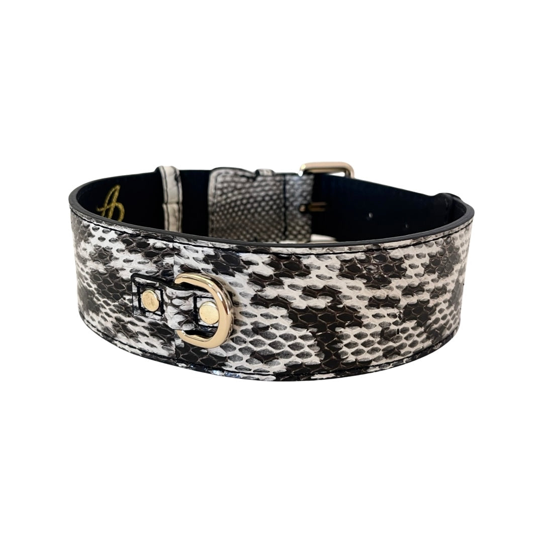 Allysa Payne White & Black Classic Snake Dog Collar
