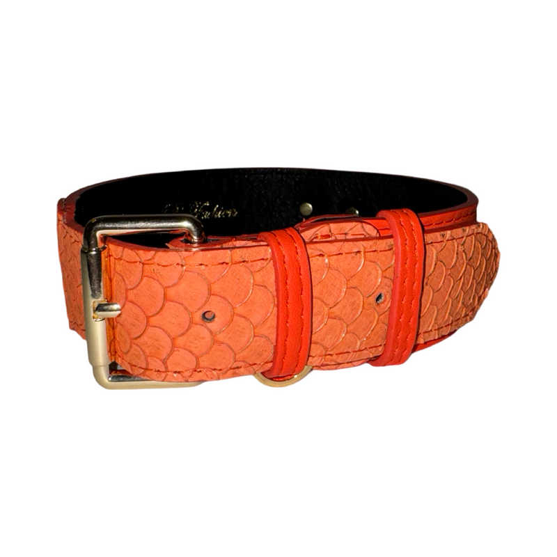 Allysa Payne The Perfect Orange Classic Dog Collar