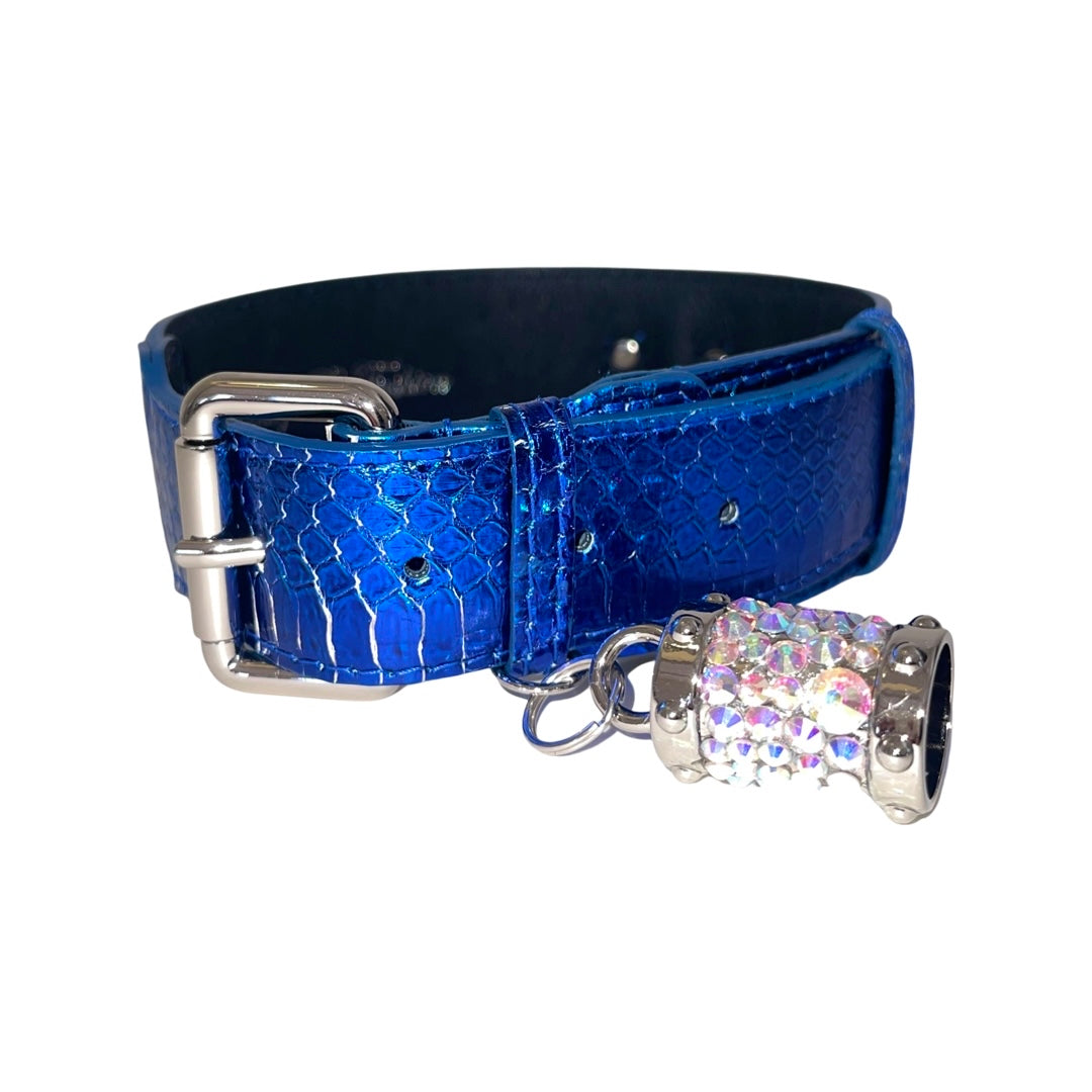 Allysa Payne Multi-Tone Blue & Silver Snake Classic Dog Collar