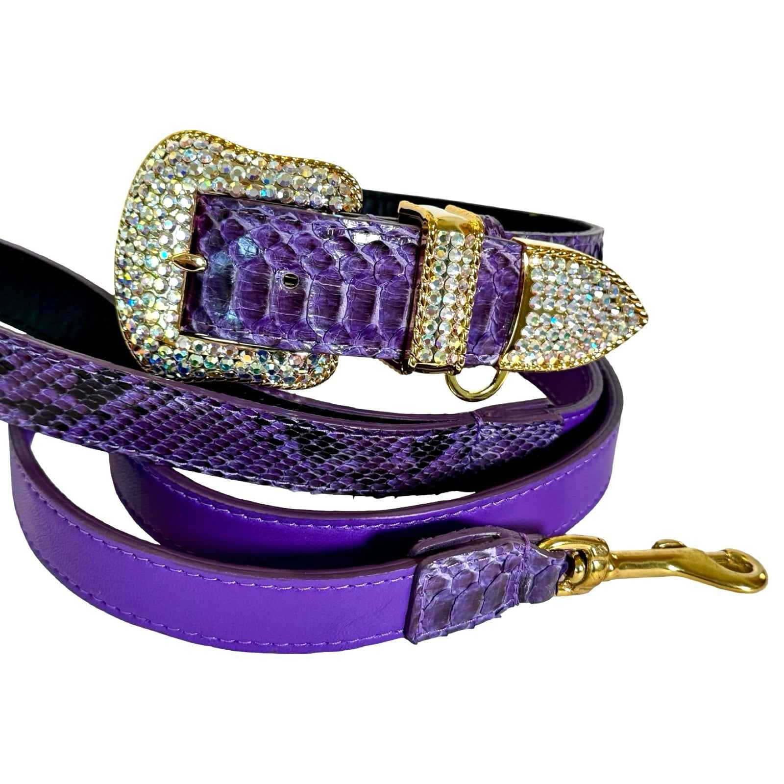 Allysa Payne Amethyst Royale Python Set Dog Collar