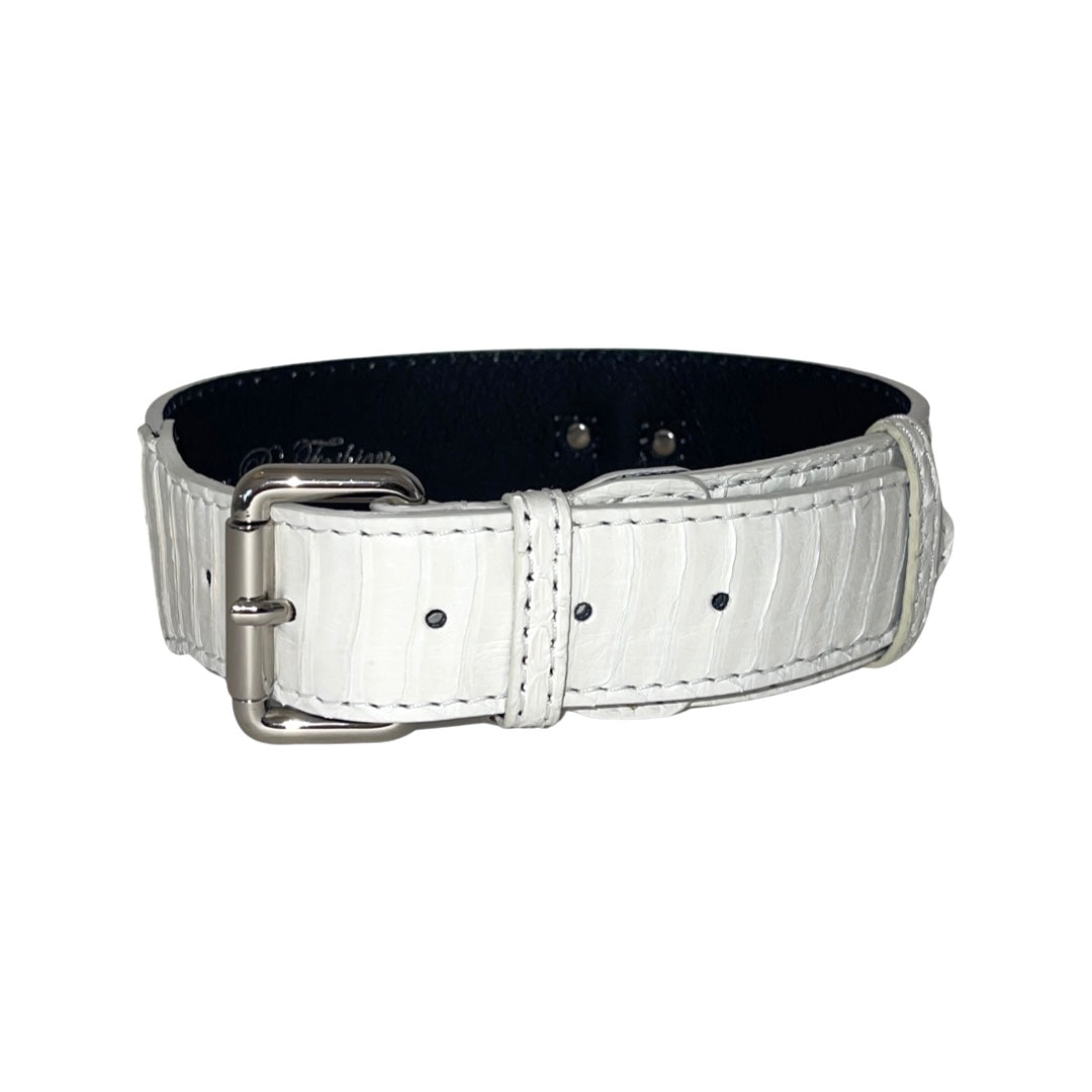 Allysa Payne Matte White Snake Classic Dog Collar With Silver Classic Hardware