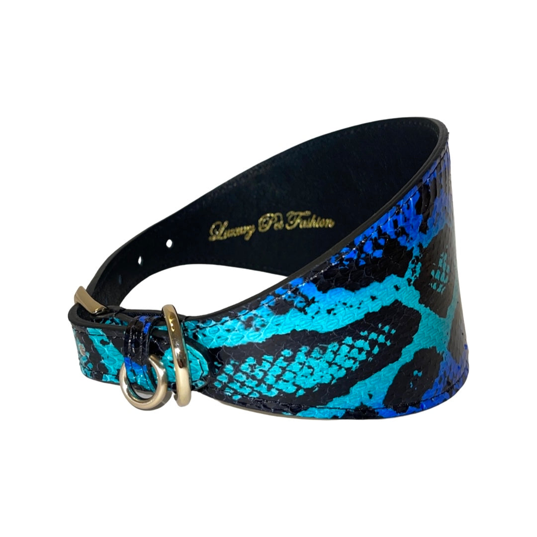 Electric/Turquoise Blue & Black Custom Snake 4” Wide Style Collar