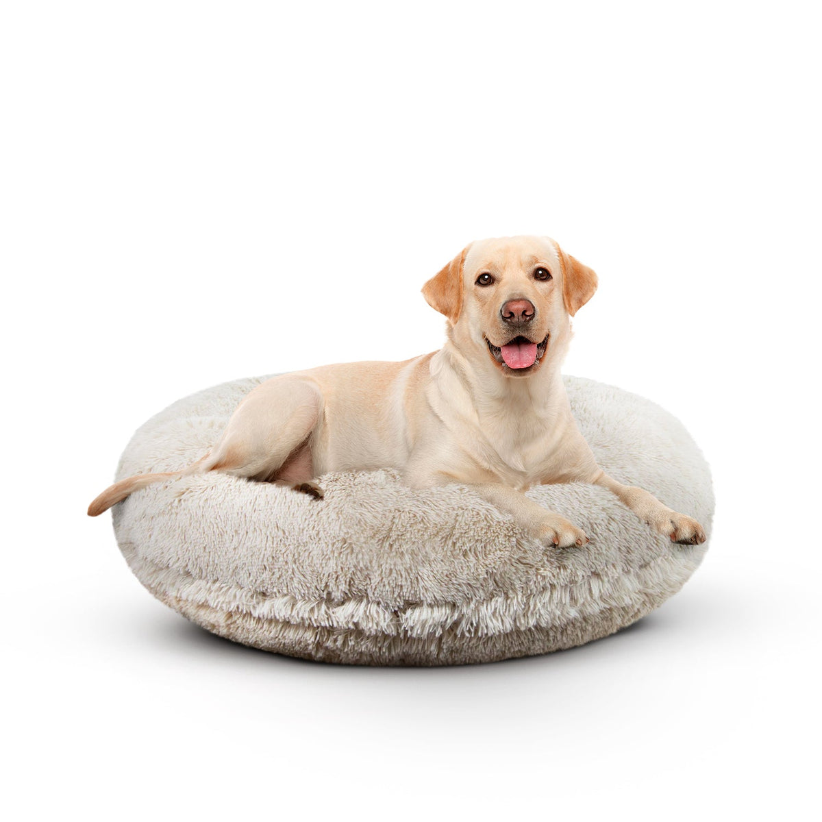 Bessie and Barnie Bagel Bed other multicolor-3 pet supplies