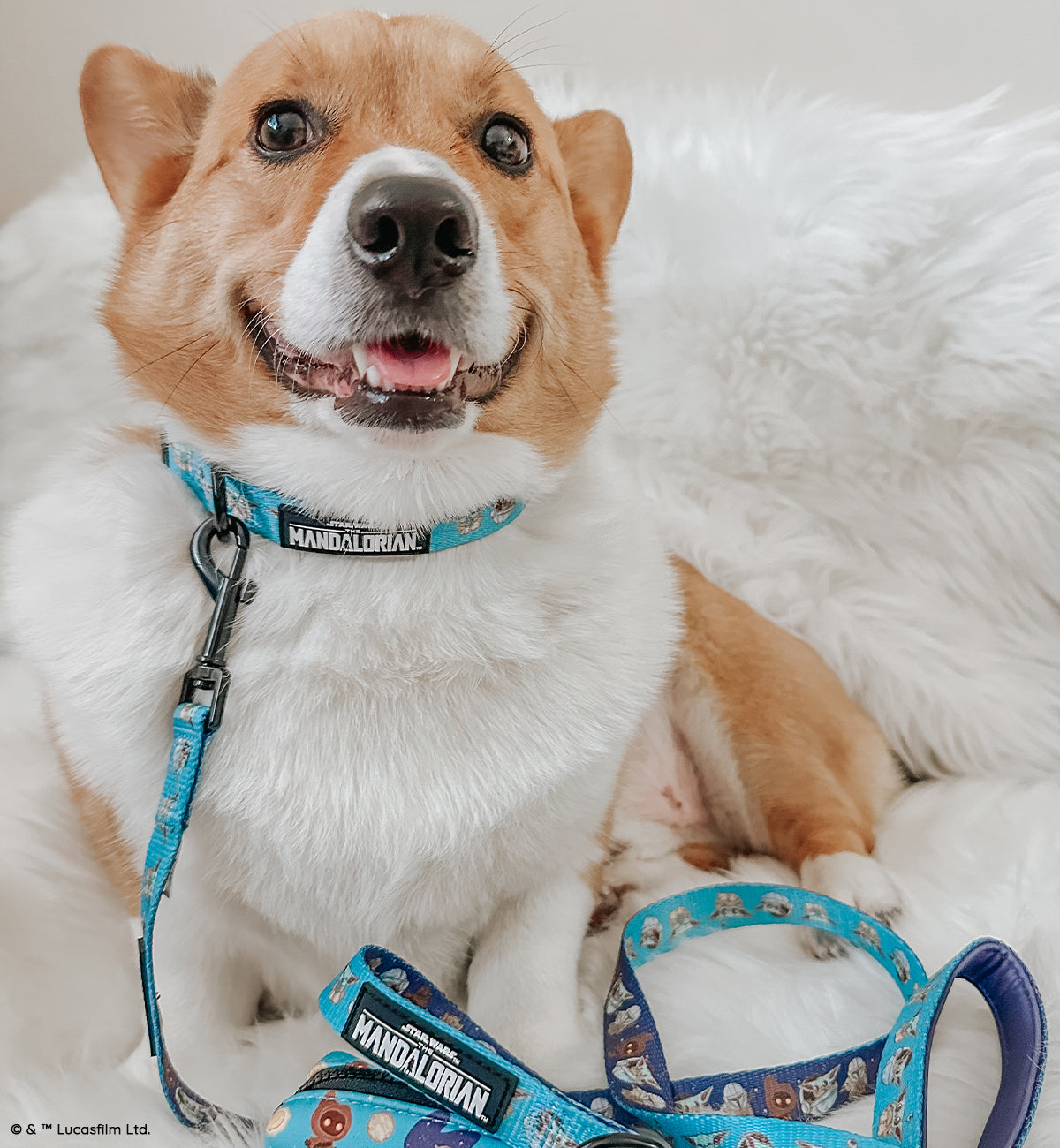 Dog Leash - STAR WARS™ The Mandalorian™