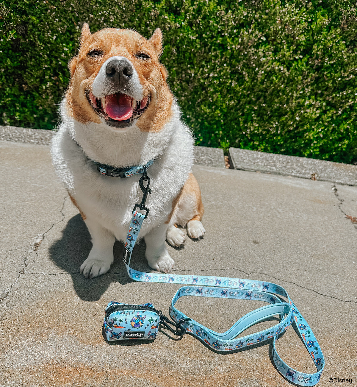 Dog Leash - Disneys Stitch