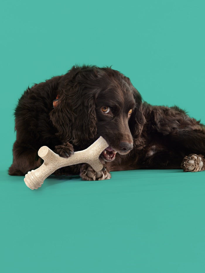 Barkin Bone Dog Chew Toy