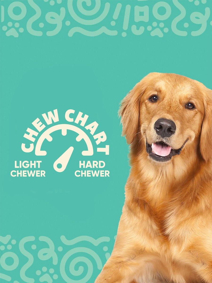 Barkin Bone Dog Chew Toy