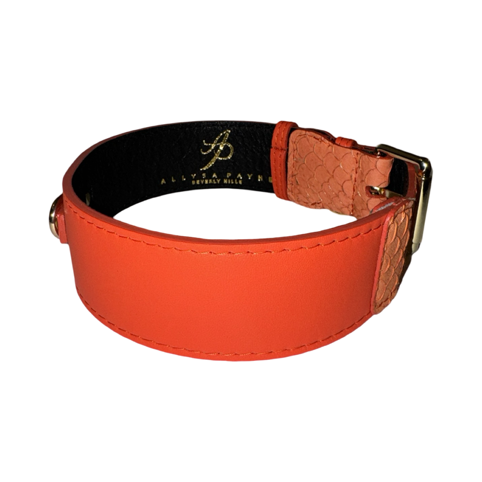 Allysa Payne The Perfect Orange Classic Dog Collar
